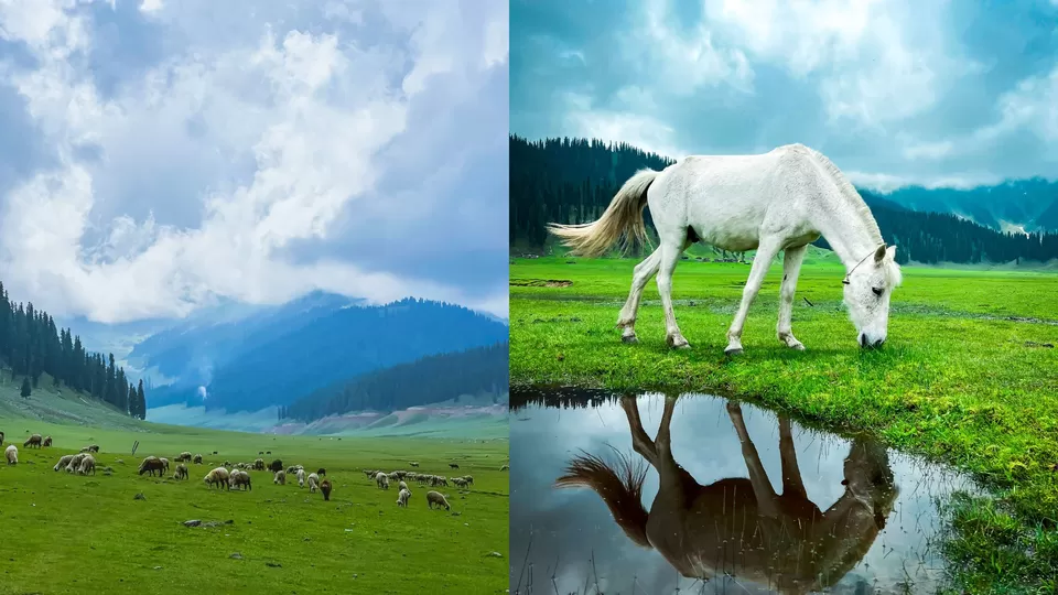 Photo of Bangus Valley, Handwara, Jammu and Kashmir by Nargis Farheena 