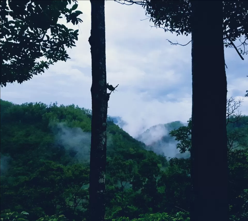 Photo of Coorg by akanksha jain