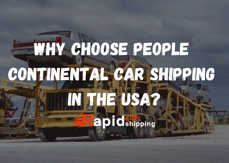 Photo of Why Choose People Continental Car Shipping In the USA? by auto shipping