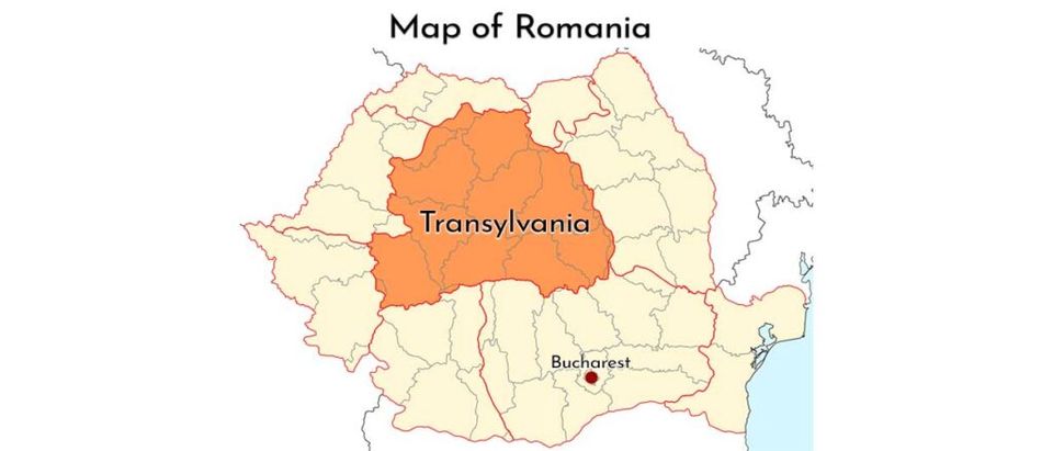 Photo of Should you visit Dracula's Castle? All you need to know about BRAN Castle 2/8 by Deea Journey