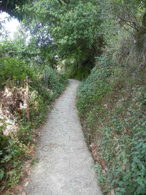 Photo of Jewel in Uttarakhand: Peora Dak Bungalow 3/10 by reachmonica