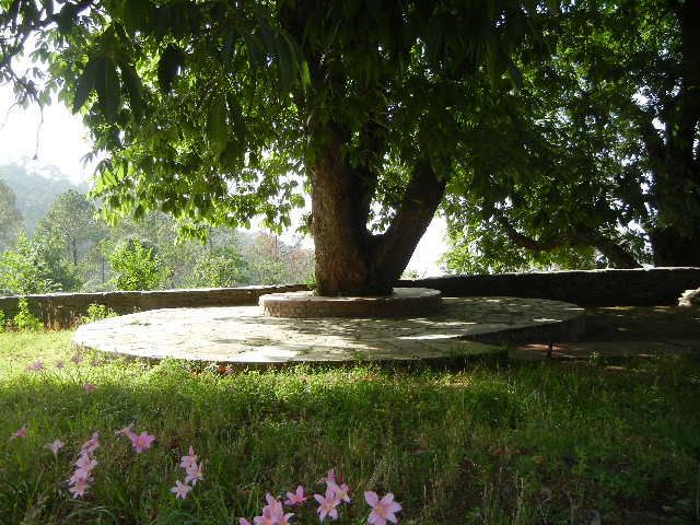 Photo of Jewel in Uttarakhand: Peora Dak Bungalow 9/10 by reachmonica
