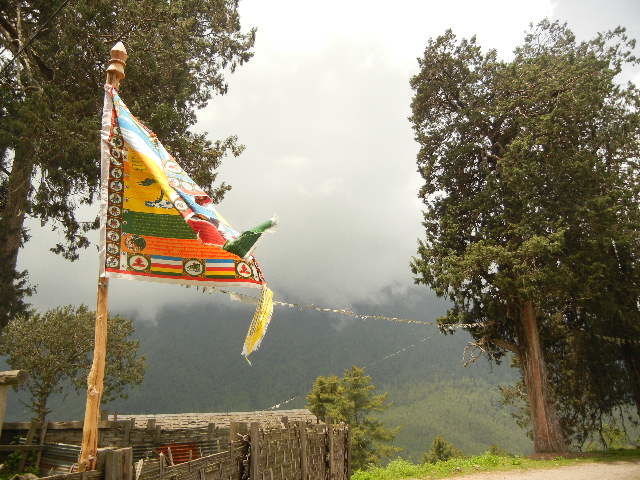 Photo of Bhutan- Once in a lifetime must visit! 7/20 by reachmonica