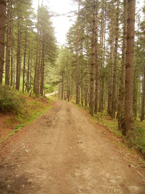 Photo of Bhutan- Once in a lifetime must visit! 10/20 by reachmonica