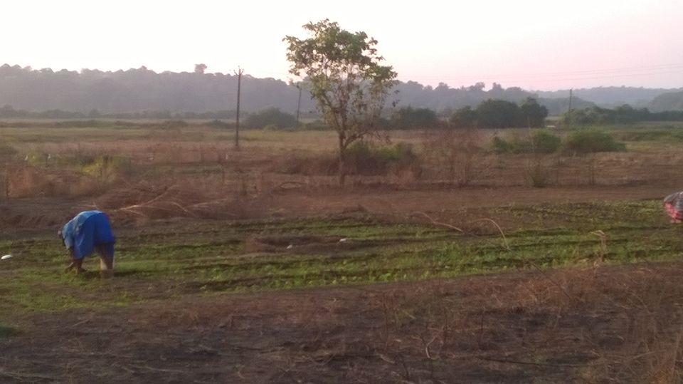 Photo of Goa with peace 7/11 by reachmonica