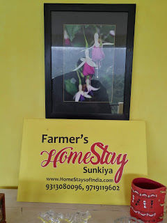 Photo of Farmer's Homestay, Sunkiya village 2/5 by reachmonica