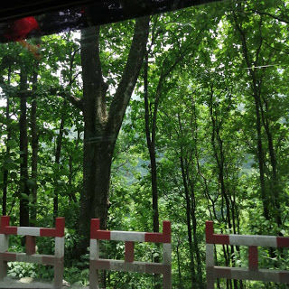 Photo of Farmer's Homestay, Sunkiya village 5/5 by reachmonica
