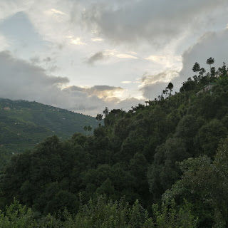 Photo of Farmer's Homestay, Sunkiya village 4/5 by reachmonica
