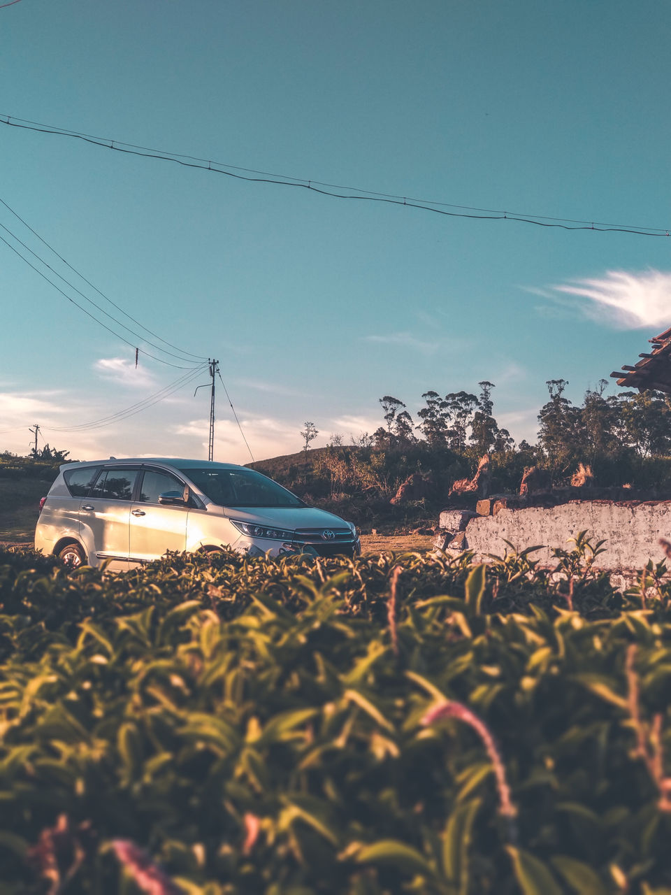 Photo of The best Road Trip through Nilgiris Mountains by Shaheen