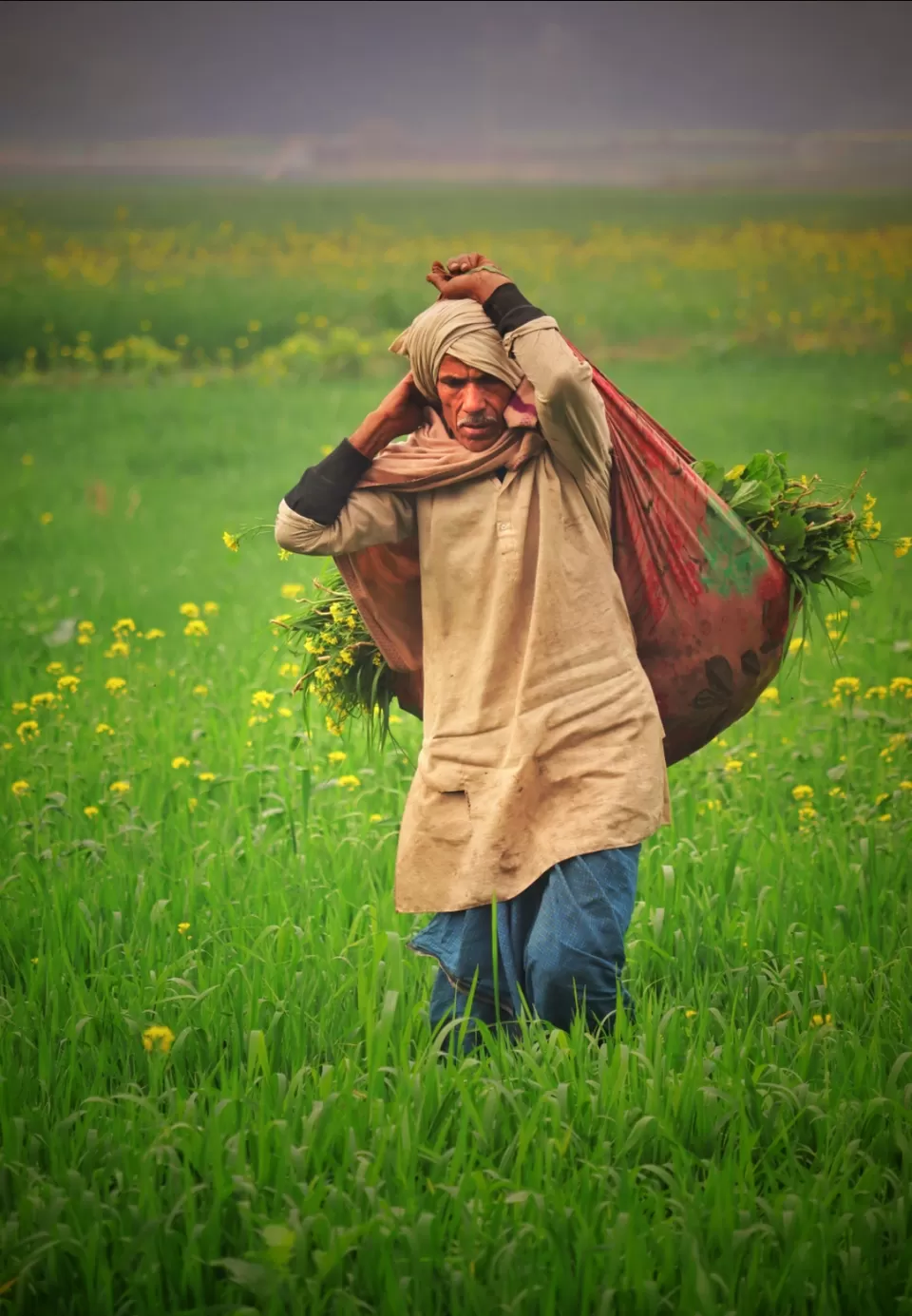Photo of गाँव की सुंदरता by Harshit Yadav