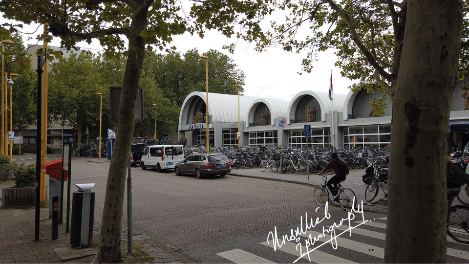 Photo of Netherlands beyond Amsterdam: Gouda by Alan