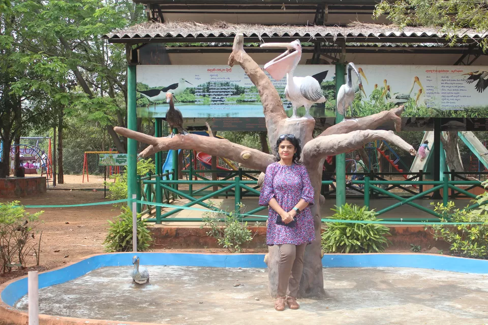 Photo of Pulicat Bird Sanctuary By Trekking CrabAries