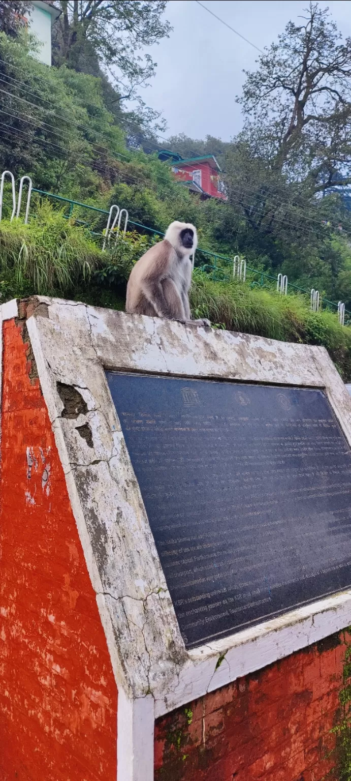 Photo of Summer Hill by Mithun Rajan