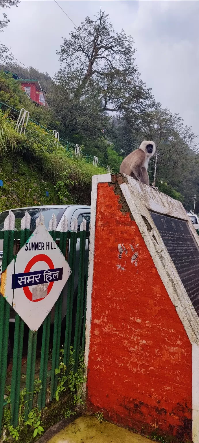 Photo of Summer Hill by Mithun Rajan