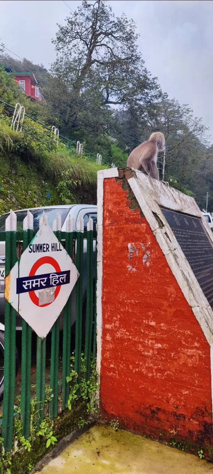 Photo of Summer Hill by Mithun Rajan