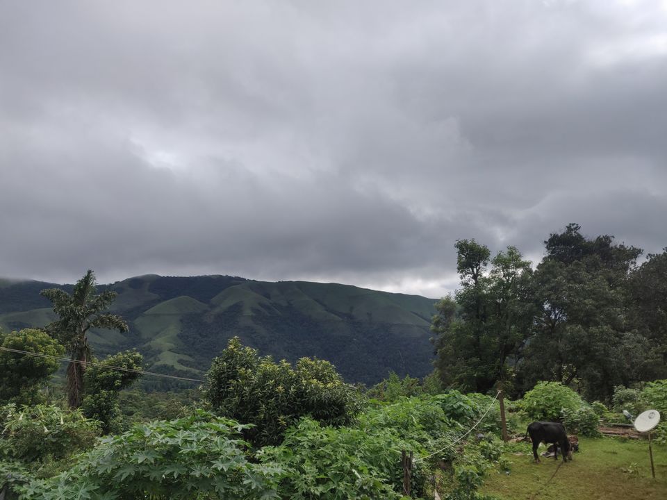 Photo of Ride to Jhari falls 12/22 by Nikhil Raul