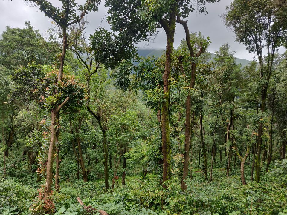 Photo of Ride to Jhari falls 10/22 by Nikhil Raul
