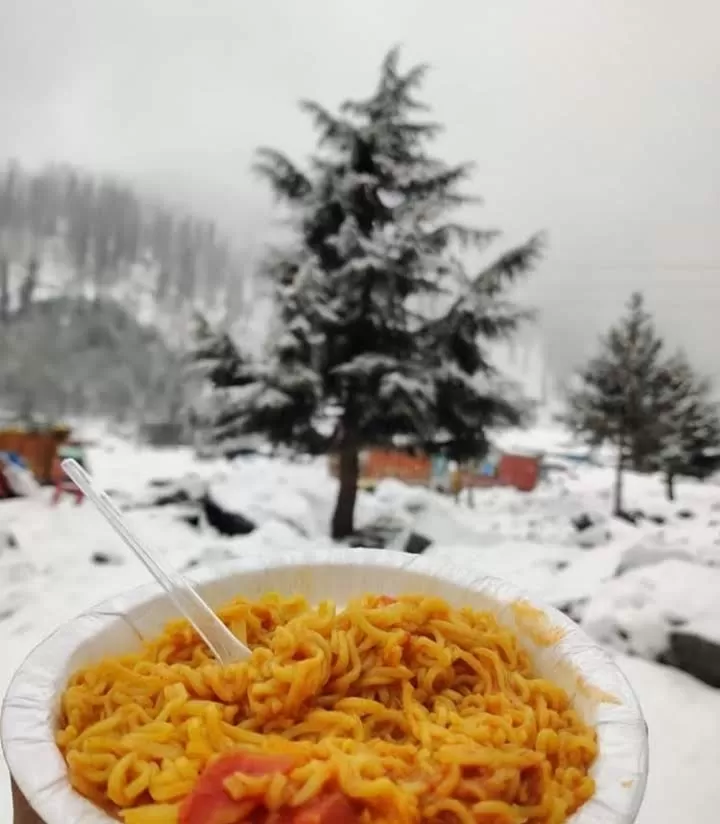 Photo of My First Experience Of Snowfall at Patnitop, Kashmir by Shivani Mehra