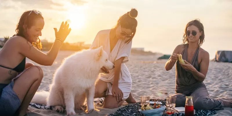 Photo of 7 Pet-friendly Vacation Ideas to Bring Your Fur-Baby On by Sierra Powell