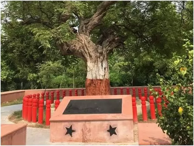 Photo of बावनी इमली by zeem babu