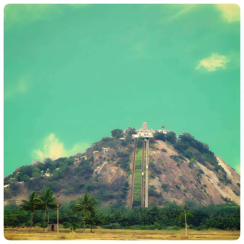 Photo of जहरीले पदार्थों से बनी मूर्ति : मुरुगन स्वामी जी की मूर्ति by zeem babu