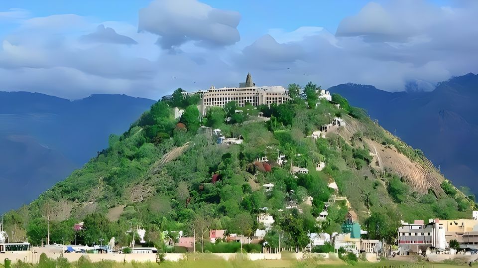 Photo of जहरीले पदार्थों से बनी मूर्ति : मुरुगन स्वामी जी की मूर्ति by zeem babu