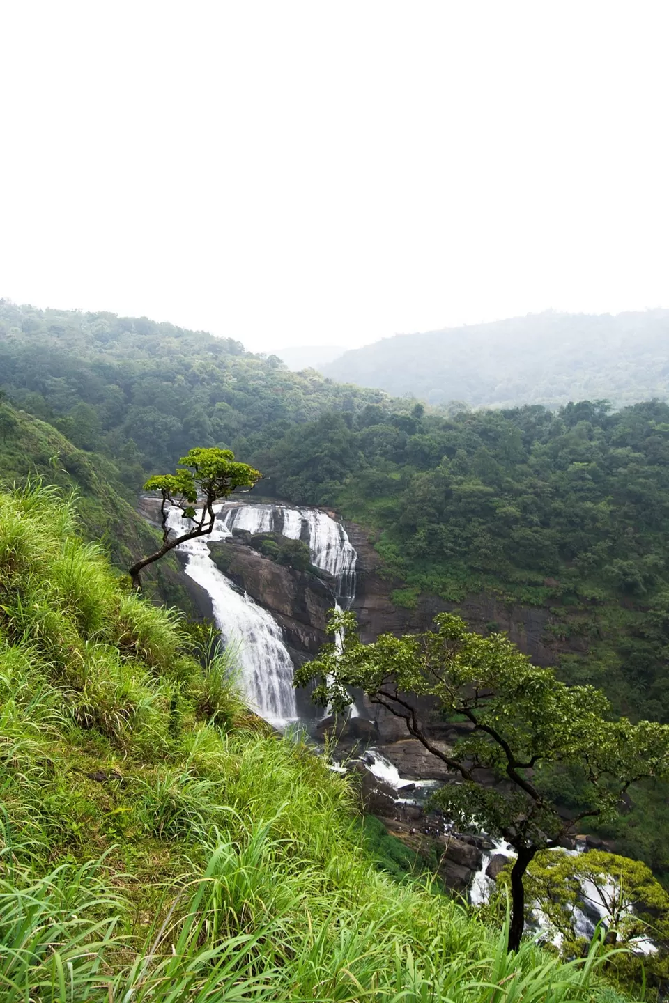 Photo of Mallalli Waterfalls by zeem babu
