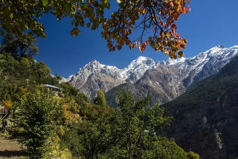 Photo of Shoja by zeem babu