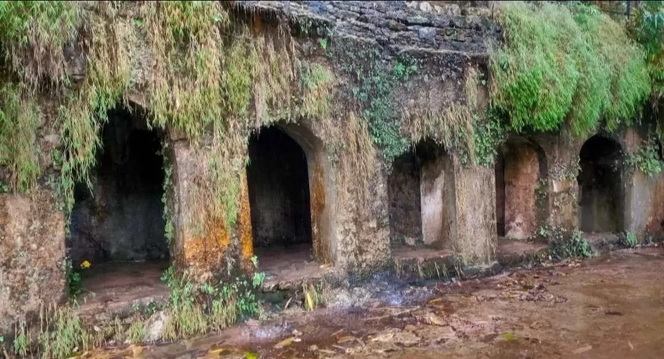 Photo of पांडव फॉल by Neha Patel