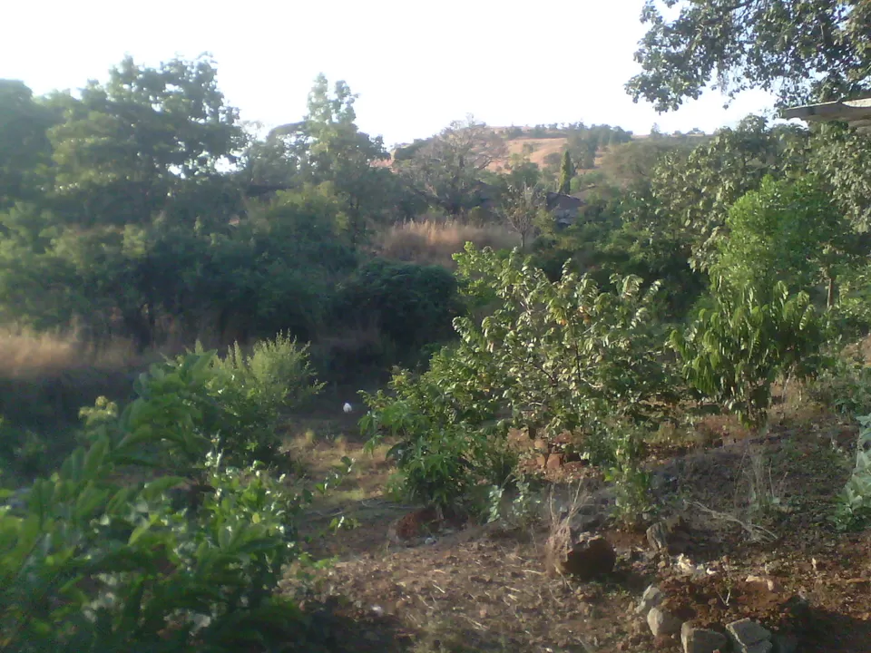Photo of Khardi, Maharashtra, India by Priyanka Mhatre