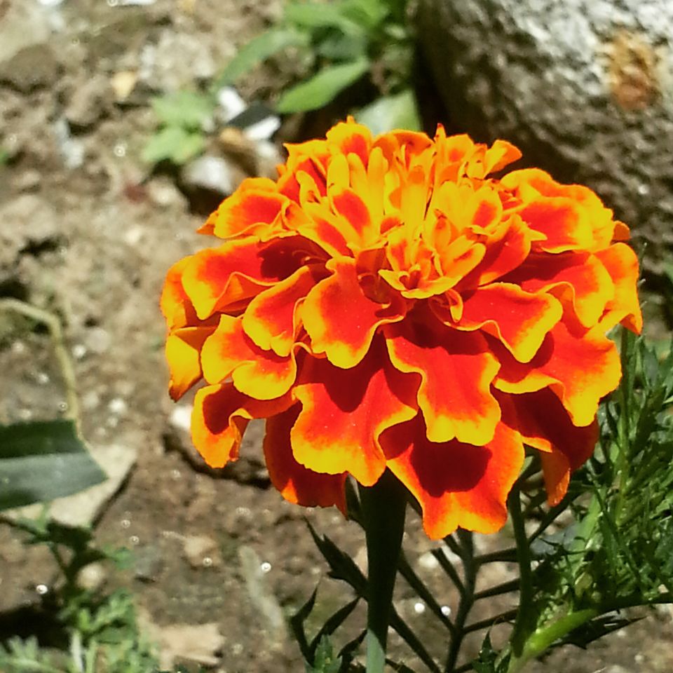 Photo of On vacation 15/15 by Priyanka Mhatre