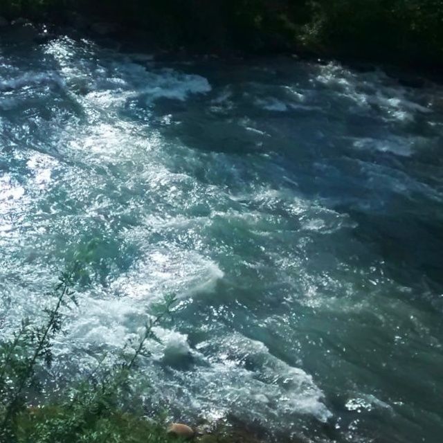 Photo of On vacation 8/15 by Priyanka Mhatre