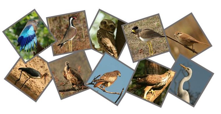Photo of Five awesome reasons to travel to Gujarat 2/6 by Nain Tara