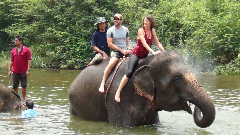 Photo of Wildlife Conservation in India 1/7 by Nain Tara