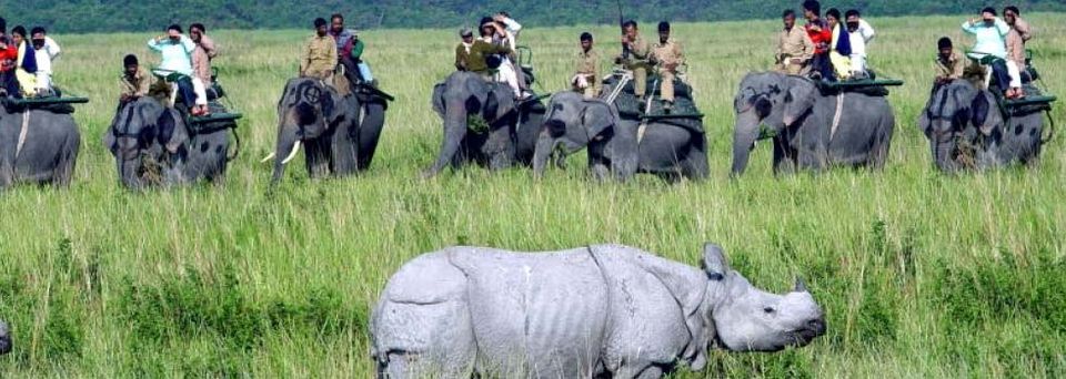 Photo of Wildlife Conservation in India 2/7 by Nain Tara