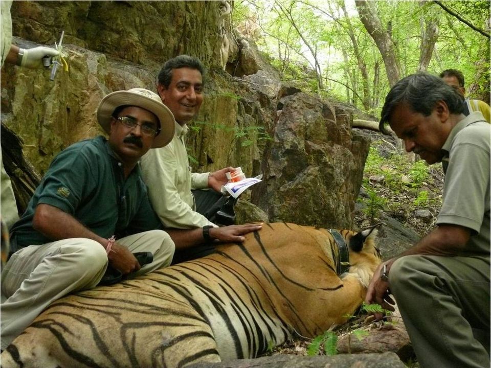 Photo of Wildlife Conservation in India 6/7 by Nain Tara