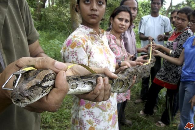 Photo of Wildlife Conservation in India by Nain Tara