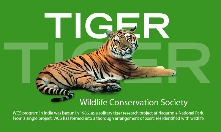 Photo of Wildlife Conservation in India by Nain Tara