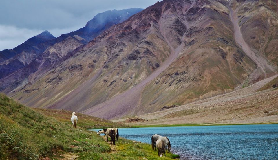Photo of Little Tibet - "Spiti" 9/17 by Prateek Mishra- Trips & Tales