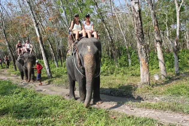 Photo of The Khao Phra Thaeo Wildlife Sanctuary Thep Kasattri Phuket Thailand by Marc Taylor