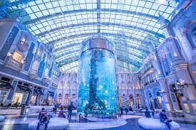 Photo of #20ThingsILoveAboutMacao 18/21 by Pranjali Korgaokar