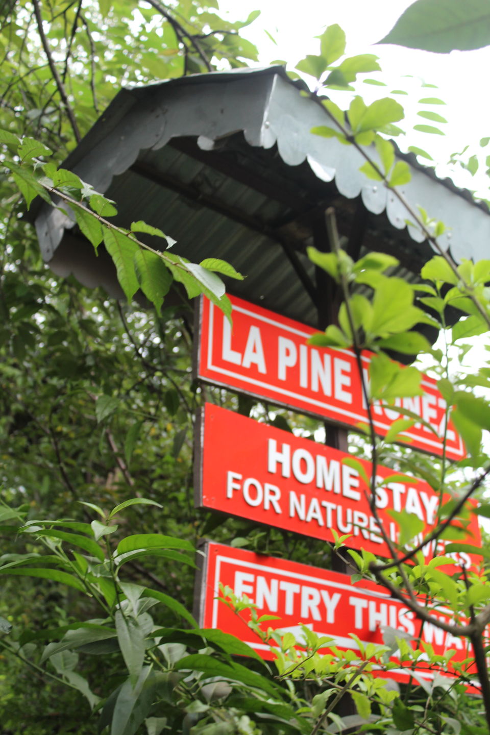 Photo of Backpacking through Kasauli 2/18 by Prerna Gupta