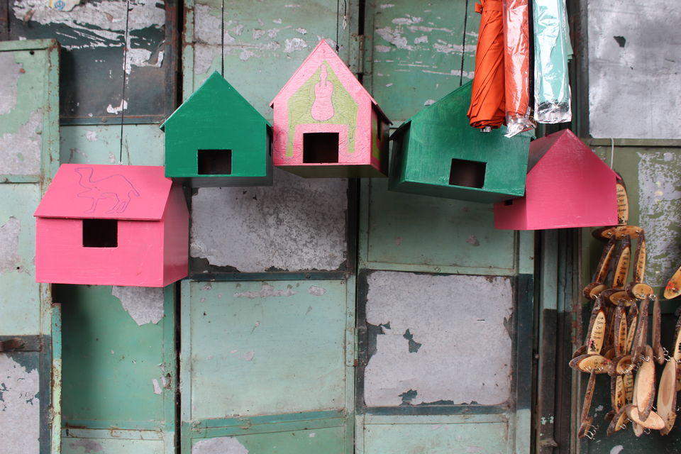 Photo of Backpacking through Kasauli 9/18 by Prerna Gupta