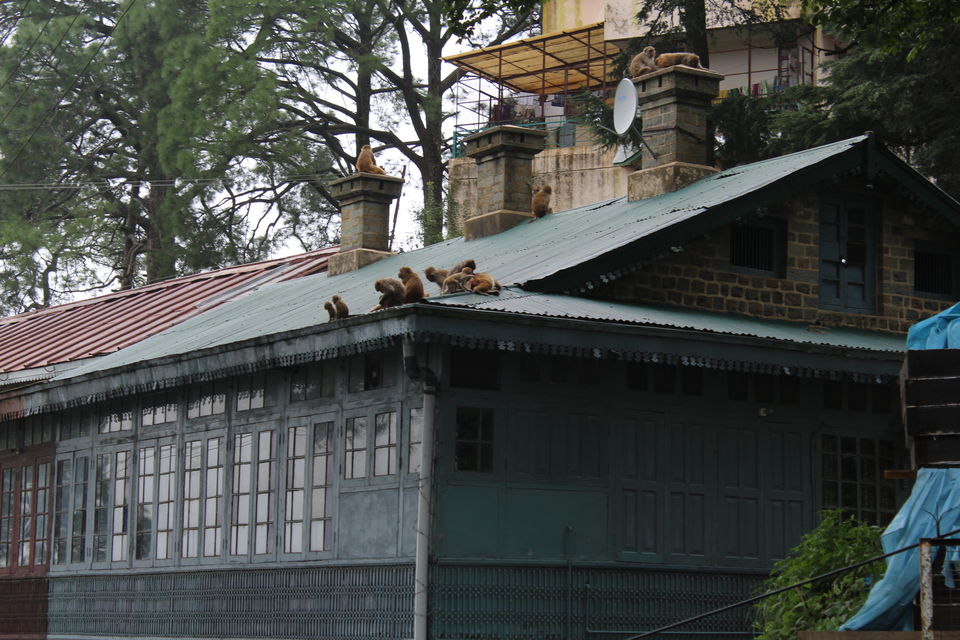 Photo of Backpacking through Kasauli 10/18 by Prerna Gupta