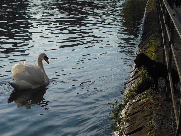 Photo of A Budget Friendly Guide to Strasbourg, France by abi