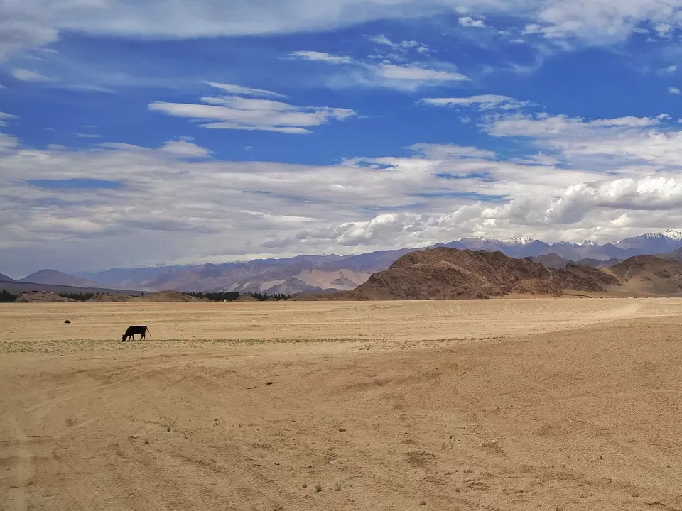 Photo of Stakna by Shreya Agarwal