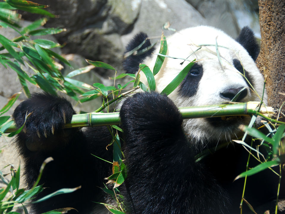 Photo of My Dream Trip To Macao #20ThingsILoveAboutMacao 4/18 by Shreya Agarwal