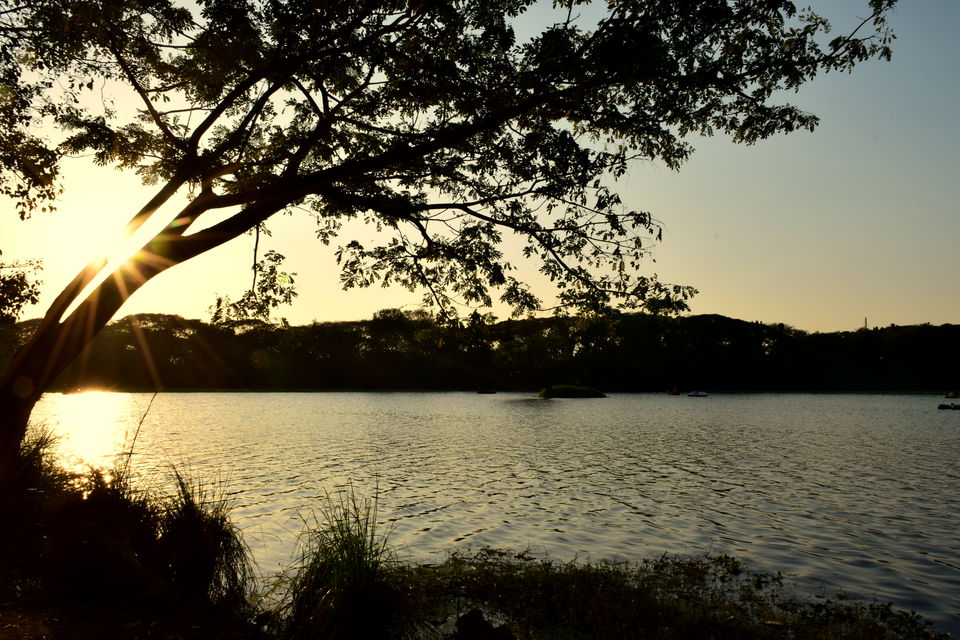 Photo of City walk: Mysore 4/32 by Subhadeep Banerjee