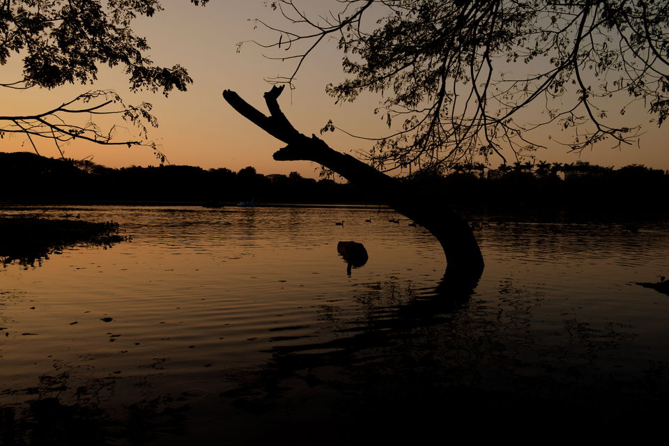 Photo of City walk: Mysore 6/32 by Subhadeep Banerjee