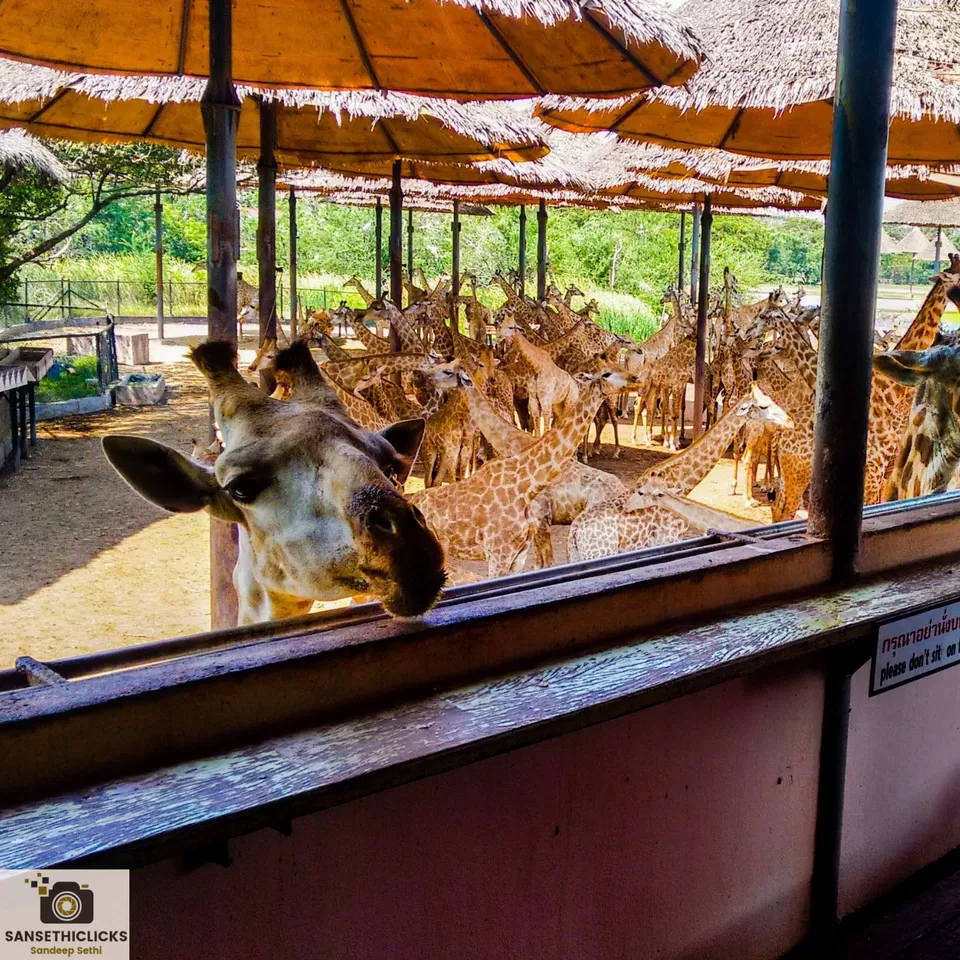 Photo of Explore Bangkok as a family Destination by Sandeep Sethi